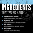 Universal Nutrition Animal Flex 44 packs