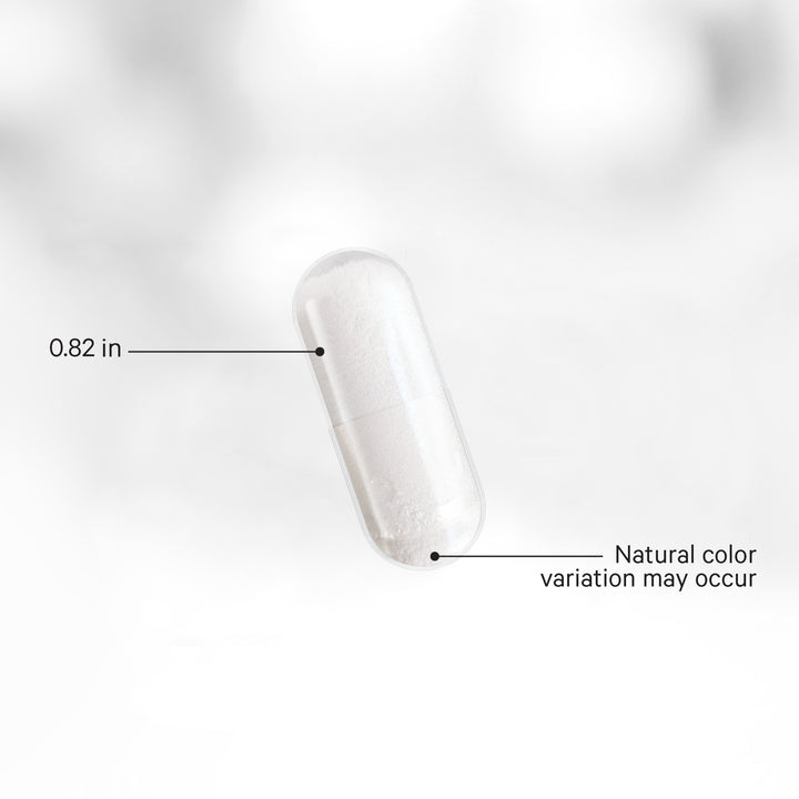 Codeage GLP-1 Probiotic +