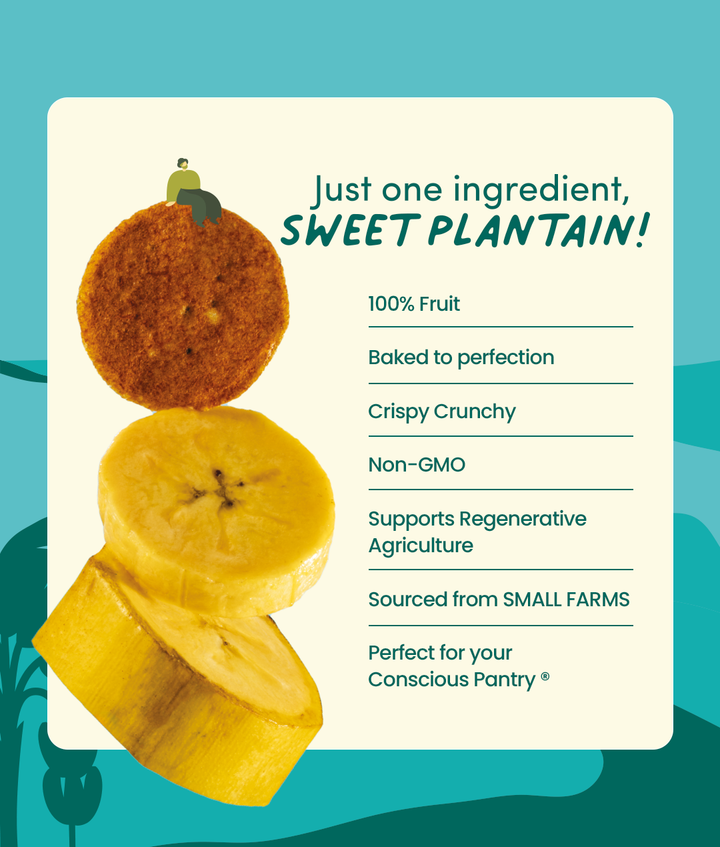 GoodSam Small Farms Crispy Crunchy Fruit Chips