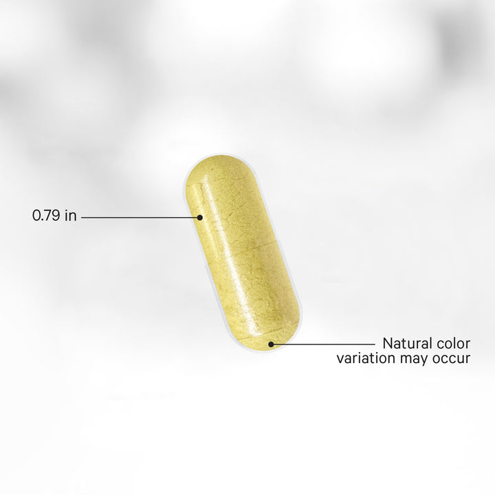 Codeage Liposomal NAD Ultra