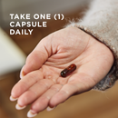 Solgar® Full Spectrum Curcumin Licaps™ (CLEARANCE: Best by January 31, 2026)