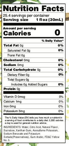 Jordan's Skinny Syrups Sugar Free Flavor Infusion Syrup