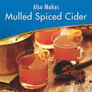 Alpine Cider Sugar Free Spiced Apple Cider 10 pouches 